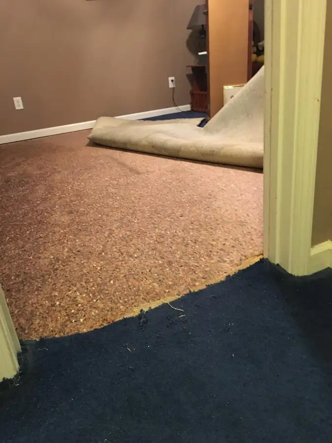 Carpet pad removal revealing water damage during Drying & Dehumidification in Holliston