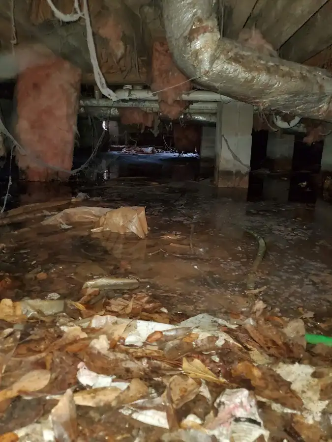 Crawl space flood assessment for Leak Detection & Repair in Holliston