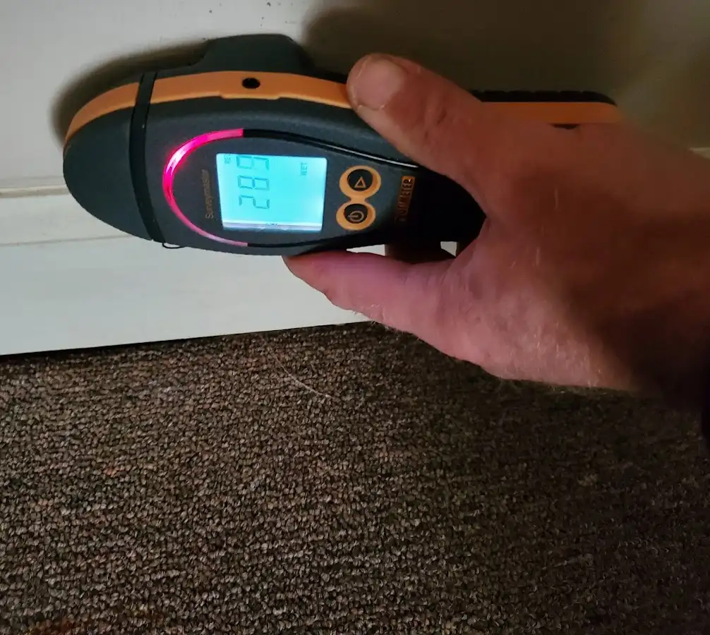 Moisture detection at baseboard during Burst Pipe Cleanup in Holliston